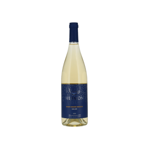Golan Moscato